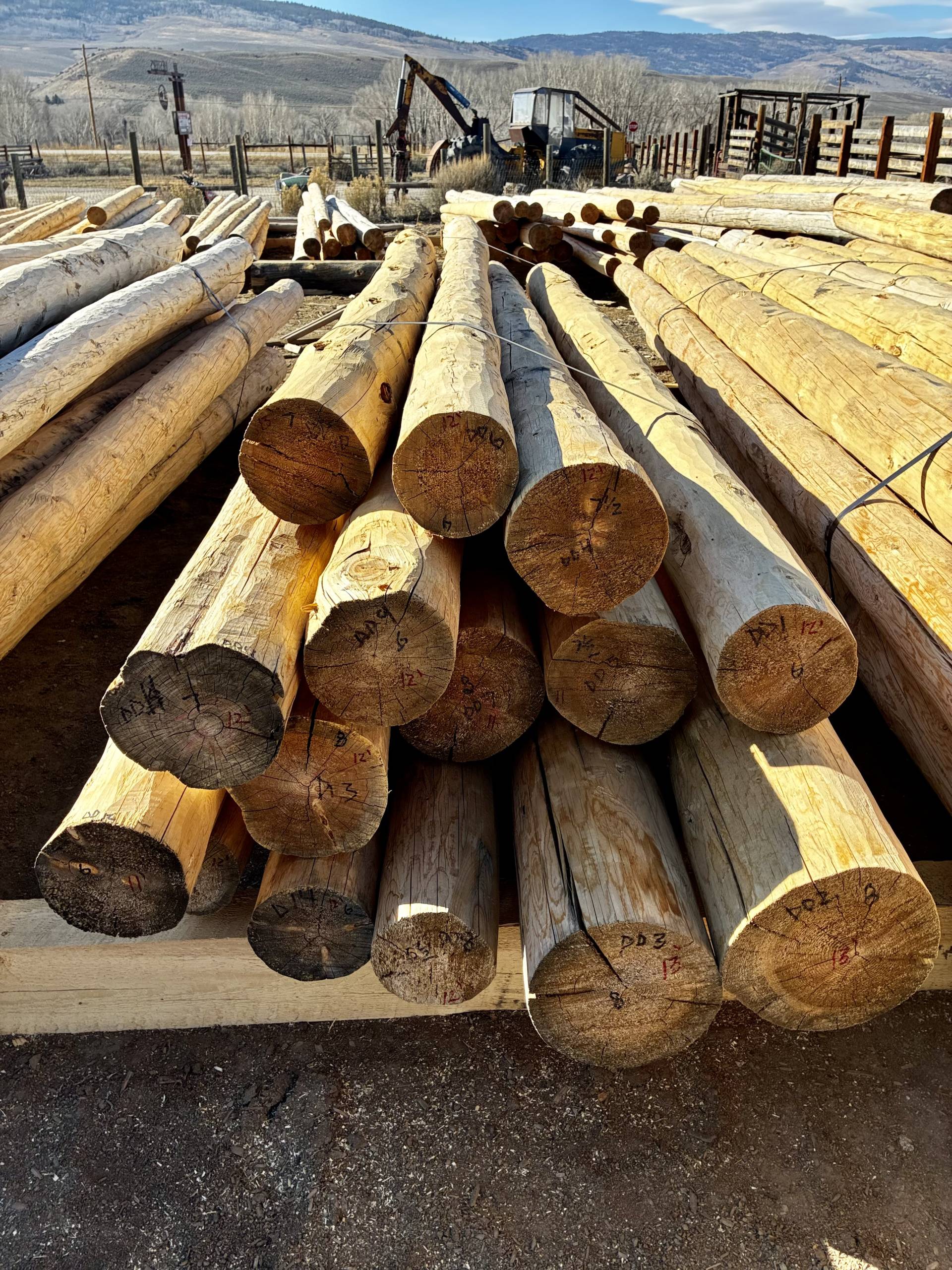 Log, Lumber, Native Colorado Timber | Our Products | The Mill